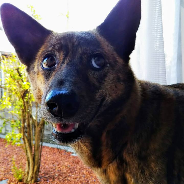 Cfd4b4e8 5efa 4288 bfff 939610cbec3f 1537746149953