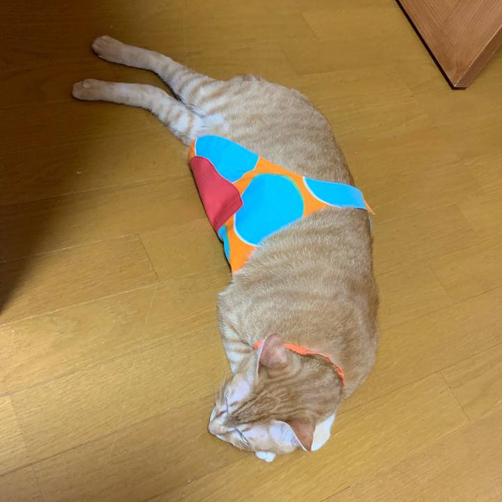 Cfd4cb12 604a 42da a76f 2fe47d52d495 1561126706480