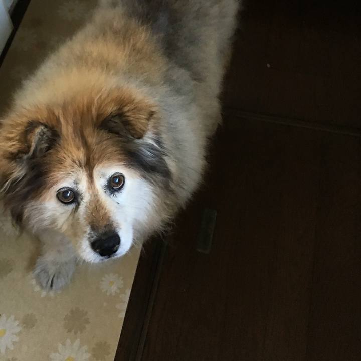 Cfd4e376 04cf 4168 b3c6 7bc1a302eb00 1608487510722