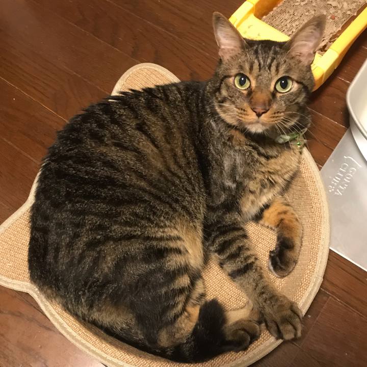 Cfd4ea40 82e3 40b8 8a34 afcd5a7b80f5 1596630381725