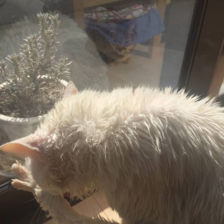 Cfd4eb31 55e3 4c84 b23c 62edc1c8353e 1550887327300