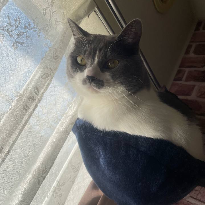 Cfd53f4b a760 46da b71d 897c9304fb7f 1732149188878