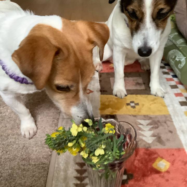 Cfd5444b a705 41ab b1e4 27a02b1cdb87 1583031128007