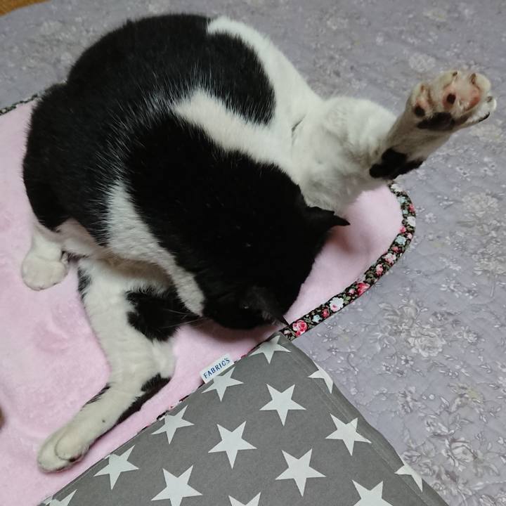 Cfd55b0f 8fe8 4c33 be24 e00fec2d17b2 1551609359266