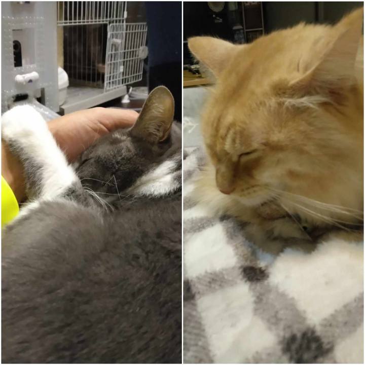 Cfd55dd0 309b 45ba b8c0 07e9c394a5ad 1700395696539