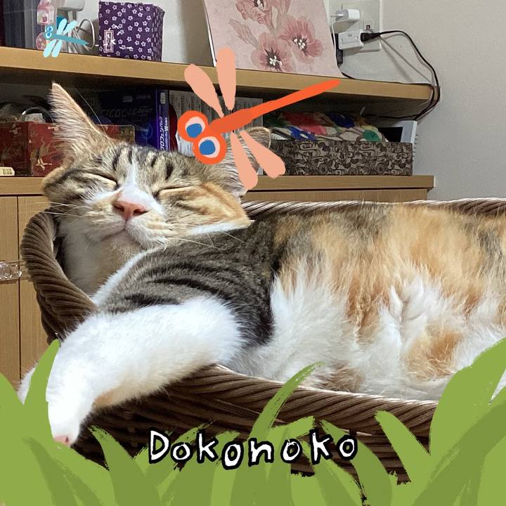 Cfd5745c ddb1 4acf 8ea0 8c3a2b80d1e7 1726828473906