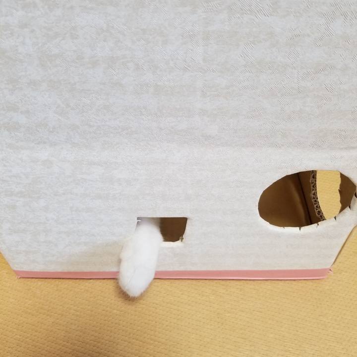 Cfd5aa17 2d21 4f52 94ba 1d3fe6151faf 1534979496786