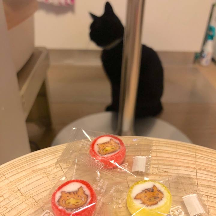 Cfd62bed 4013 4c0e a7f3 093d52efc3ef 1546172375116