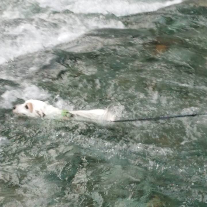 Cfd63a5a 5dc8 4692 82d1 3a5a38647ef1 1566257433978