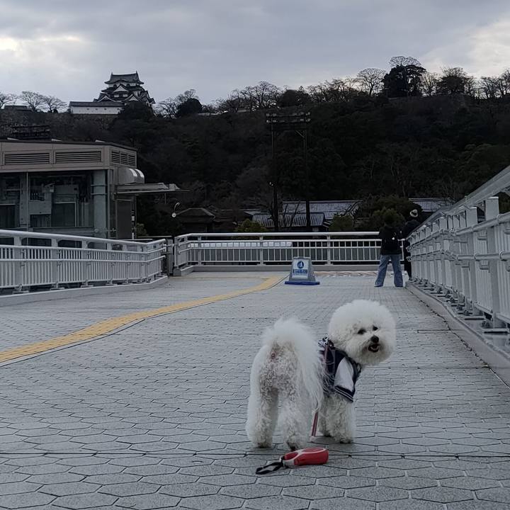 Cfd70b21 333c 4f2e a9a2 ac5c75ab88b2 1767514872823