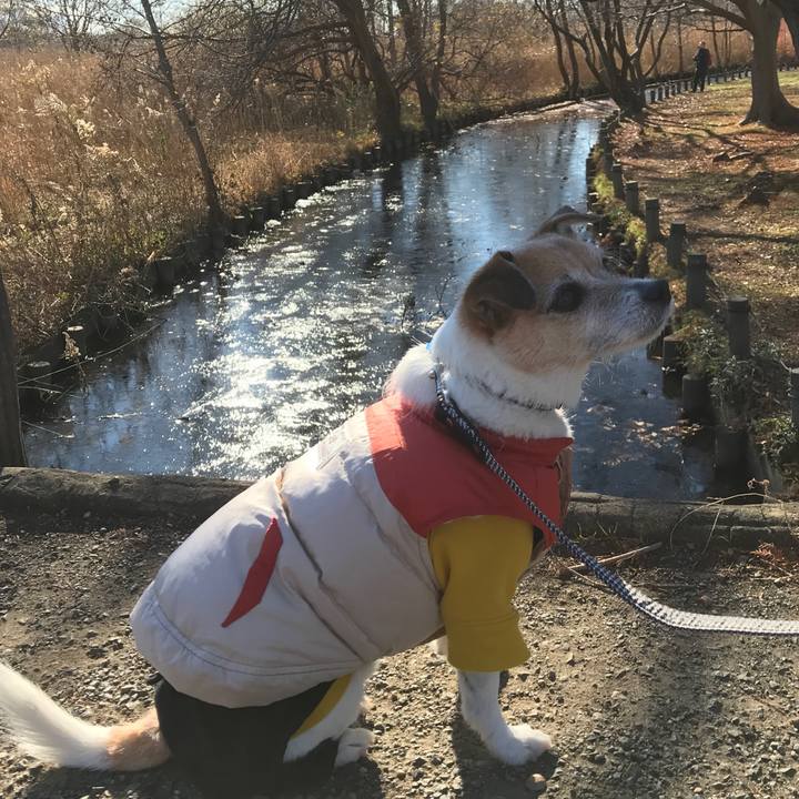 Cfd72016 87ba 4a88 afa2 94045a134433 1609645302289