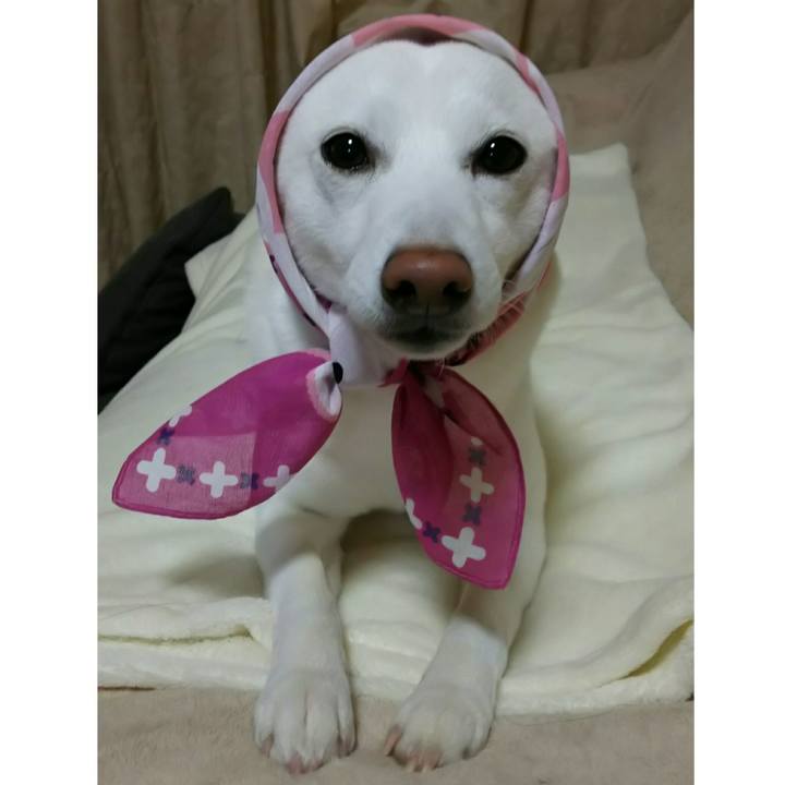 Cfd7201c 93ce 4ecf 900d 3bc08ea47b36 1518090371522