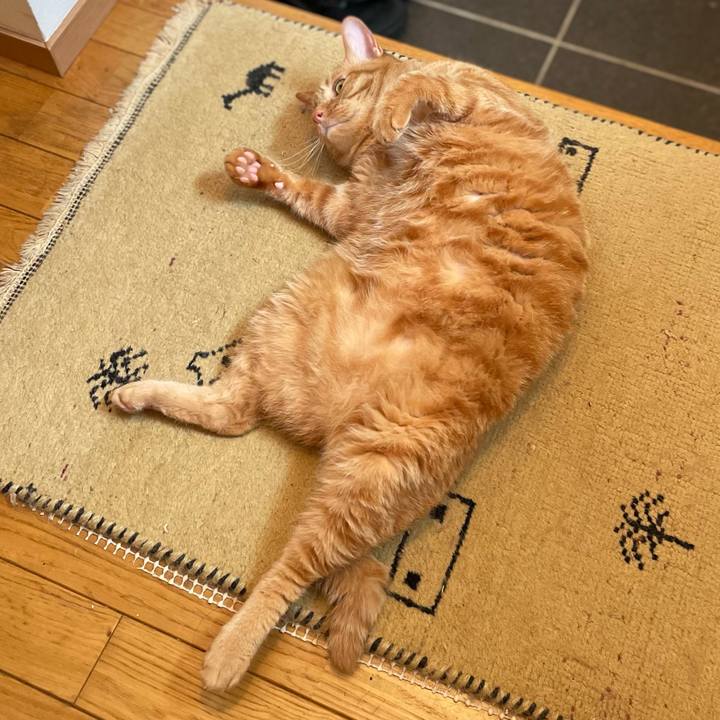 Cfd75d03 dbb2 4f63 9106 2cc141882ae3 1657704977682