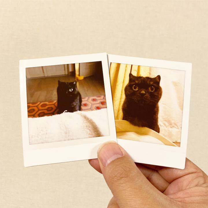 Cfd7bf28 c187 4a71 9101 81d0184c6dbe 1605026443303