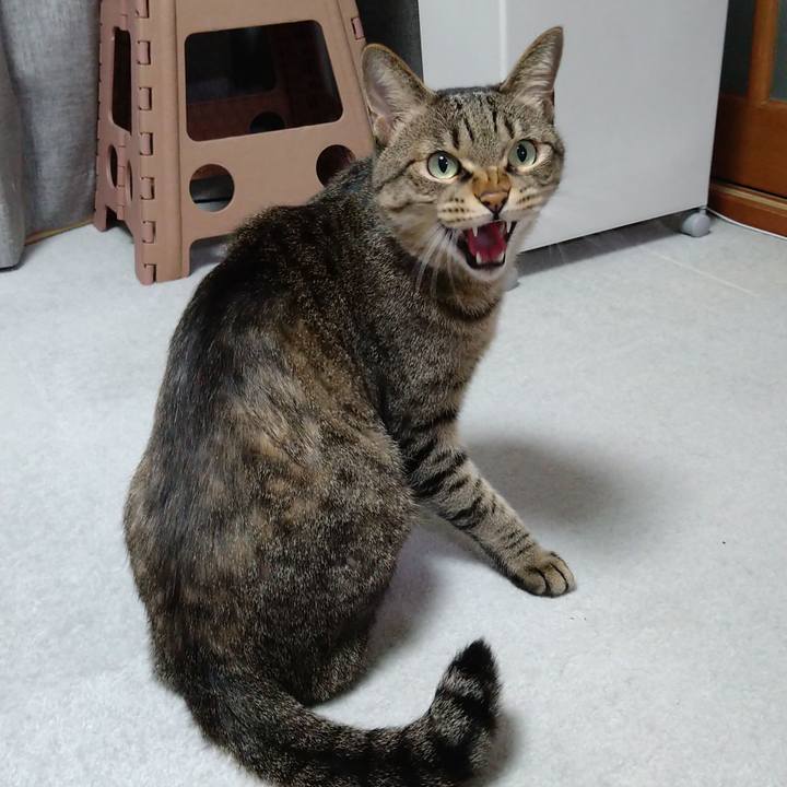 Cfd7d8f7 32ea 46d1 bce1 67d8c2e6ea1e 1639819210897