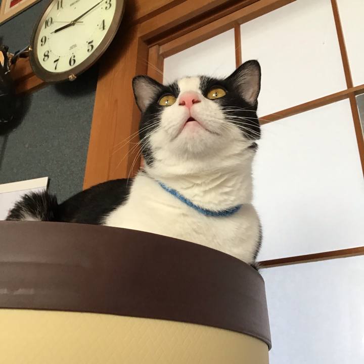 Cfd7da24 6812 40eb 9455 7900ee86a8ce 1659244351822