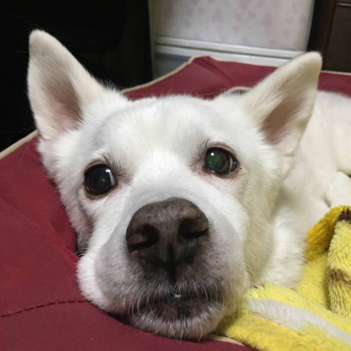 Cfd7e162 974e 4613 b4bd a644e7eeecb9 1518423697295