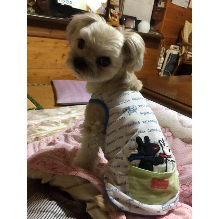 Cfd7ef59 e5af 4924 9d5a 5e1aabc56093 1522155398767