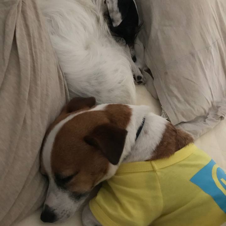 Cfd85f79 f14d 443b 8362 6b519f392af0 1523716795444