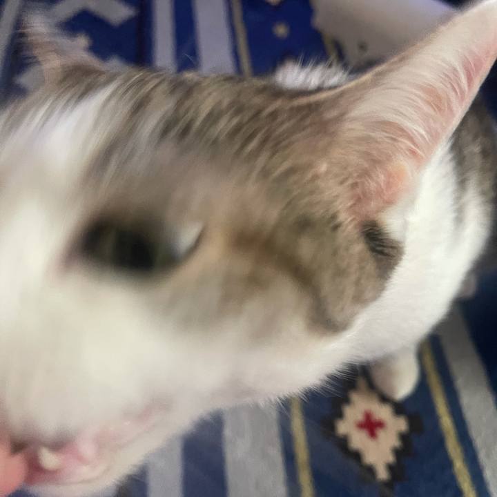 Cfd87f80 2bfe 4e33 9f0d 62c3facac863 1625107765908