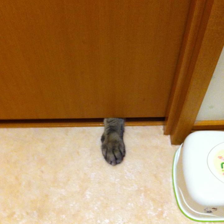 Cfd8b5fe 547f 4b8a 95af d7886649cc38 1593299939824