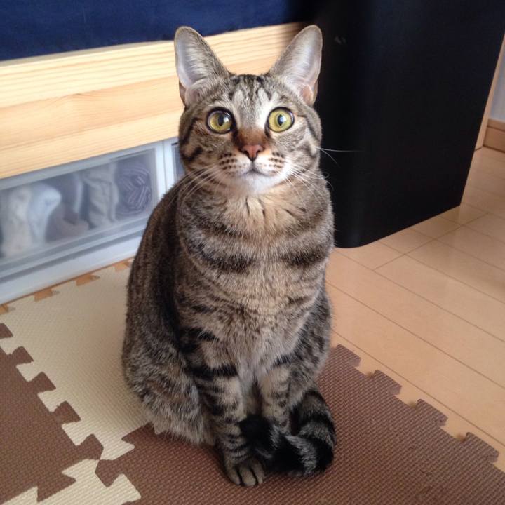 Cfd8c2ef 3334 440f b076 13d39fcc121a 1512277147881