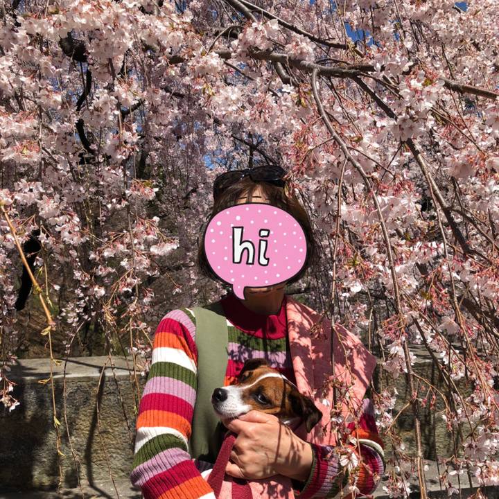 Cfd907f0 3026 4c4a b4d4 8e195e8480ba 1555132265711