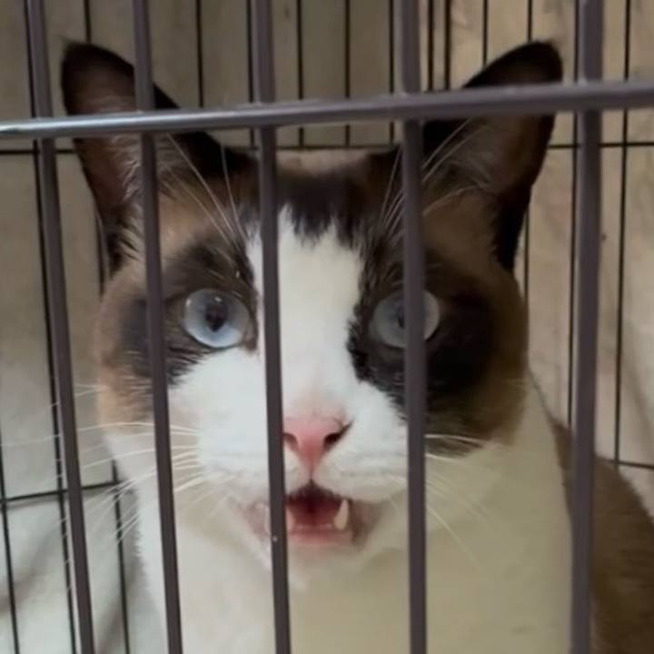 Cfd90f64 0d1e 4c7c ac25 55d831cbda47 1753176722818