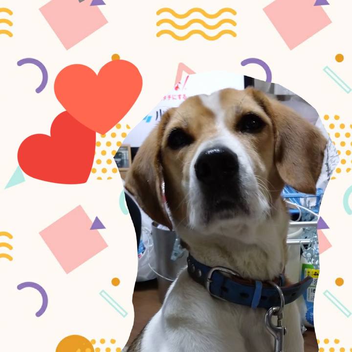 Cfd91856 5aa2 4667 8283 94fbe3a69f60 1610619627969