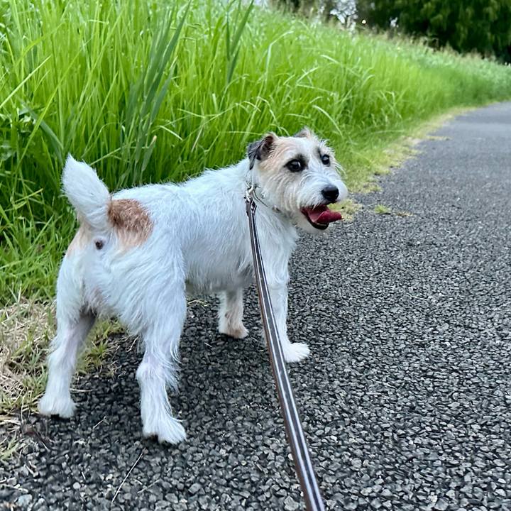 Cfd92657 d4ad 4c81 bf07 d91bb95a165f 1754771904641