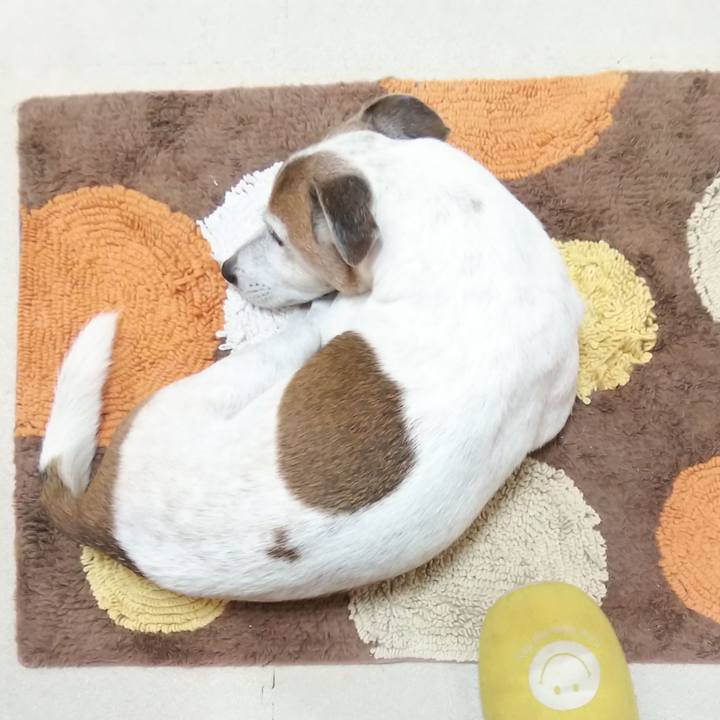 Cfd9b1ef 8476 45a9 ab7e 21fbe7ca1e00 1572836944340