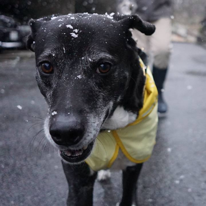 Cfd9d1b3 9255 4c47 a0fa 272f2f169aa5 1773100388022