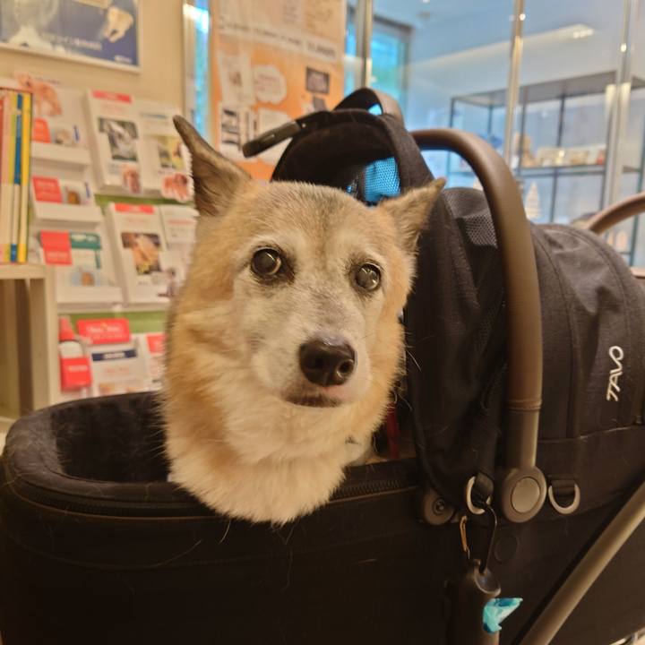 Cfd9fee5 6feb 4507 8c1d 8a74b0904ee5 1761036656388