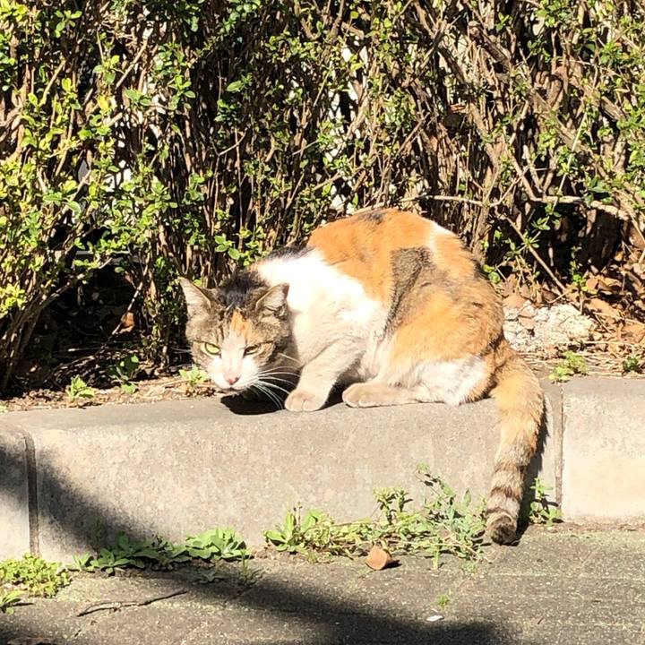 Cfda0886 abe3 4157 87bc abde0c0847dc 1554473018866