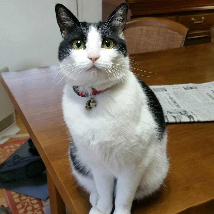 Cfda21a9 7f79 4b97 be17 6dfae4dcc7aa 1519442941869