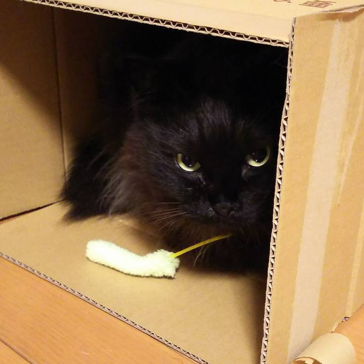 Cfda3f06 9f56 46eb aa38 b4e1d6d66183 1519996402727