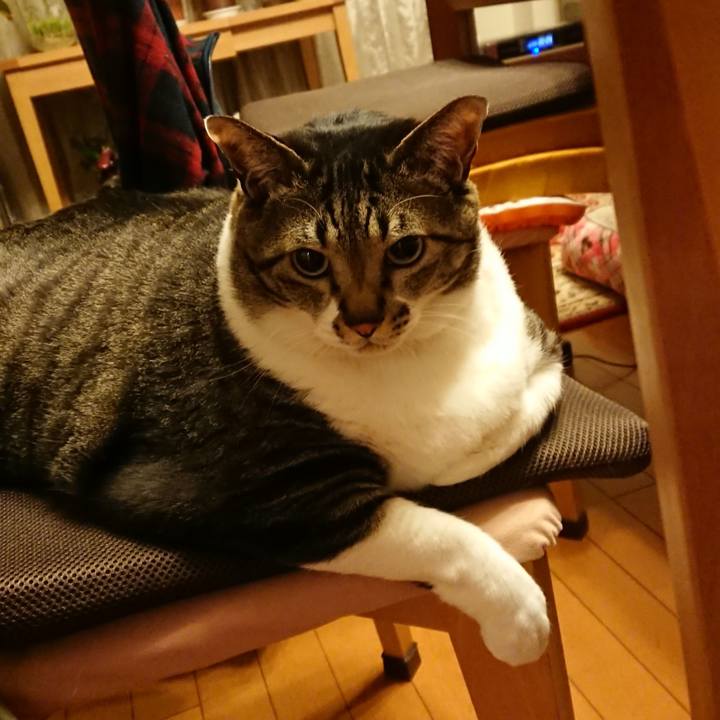 Cfda5f43 d27d 4610 bef7 bfd461aee802 1582974433282