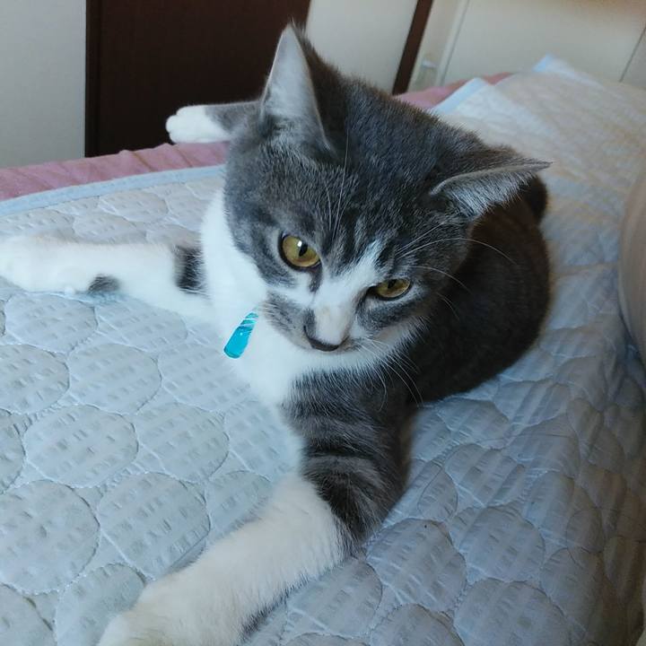 Cfda960e 20d9 4e98 b7c1 a3ab20062043 1573168543687