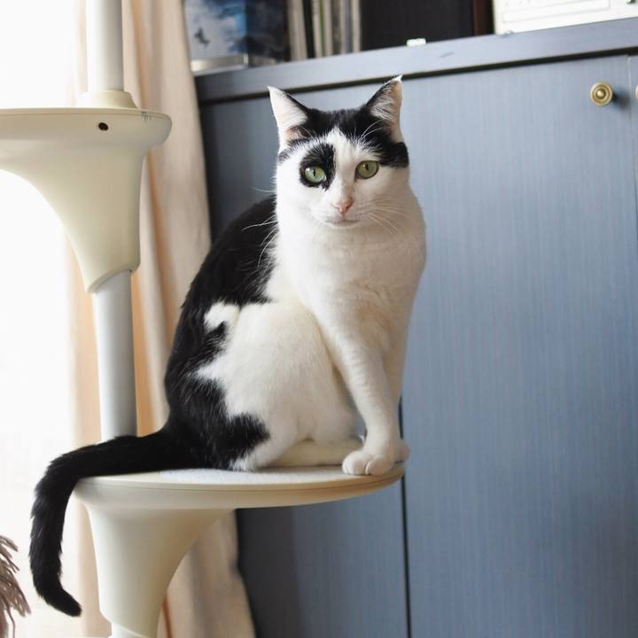 Cfdab1be bd56 4e01 b4a2 c1e8b0a91615 1587002485843