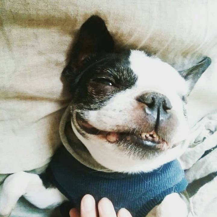 Cfdaec8f bfc0 4697 af26 6d7ce7df67c6 1513722861564