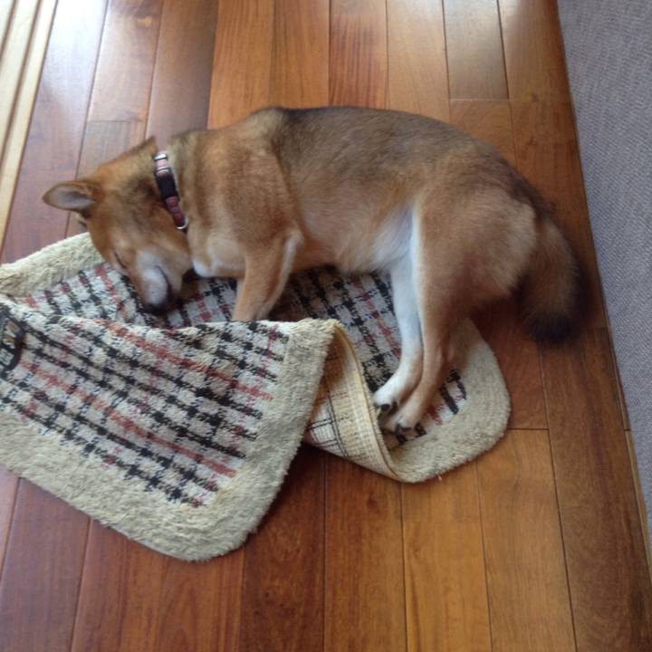 Cfdb32f3 c532 47bd 9250 1a8e9b057a37 1510036224290