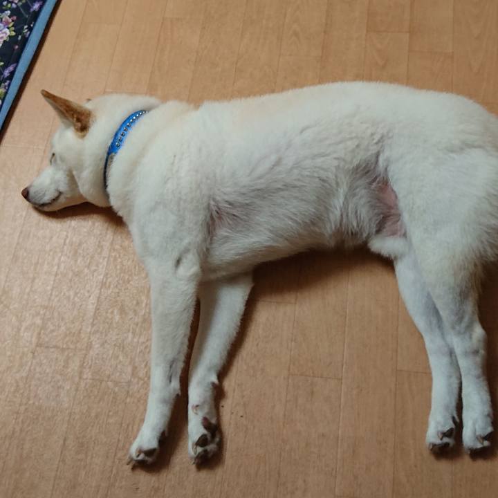 Cfdb3e55 8d6e 4963 878a 54da1d8234aa 1569246535679