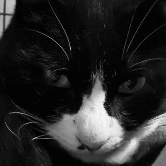 Cfdb4116 2461 4ef1 8e8b 24a1a60c60fa 1737374390187