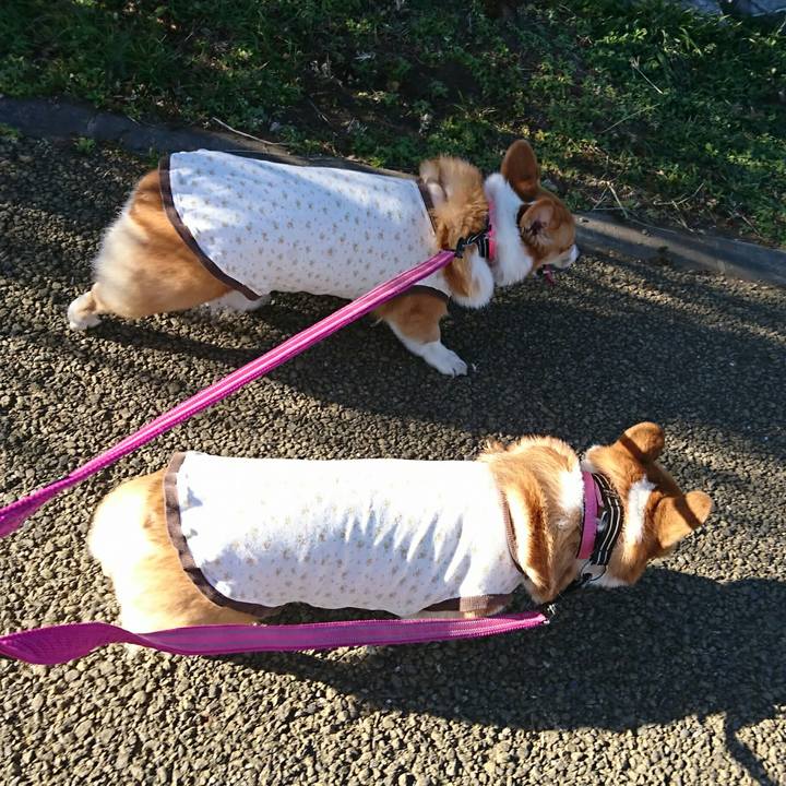 Cfdb4753 71ad 4fa2 a56c 336a814a3c27 1546494950997