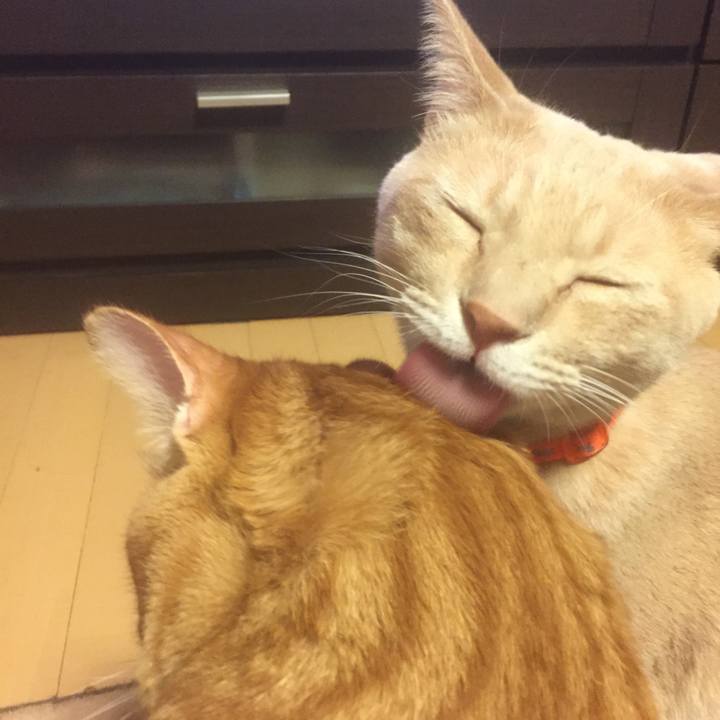 Cfdb6170 ad8f 49f8 9485 6e9507f7fed9 1575541189539