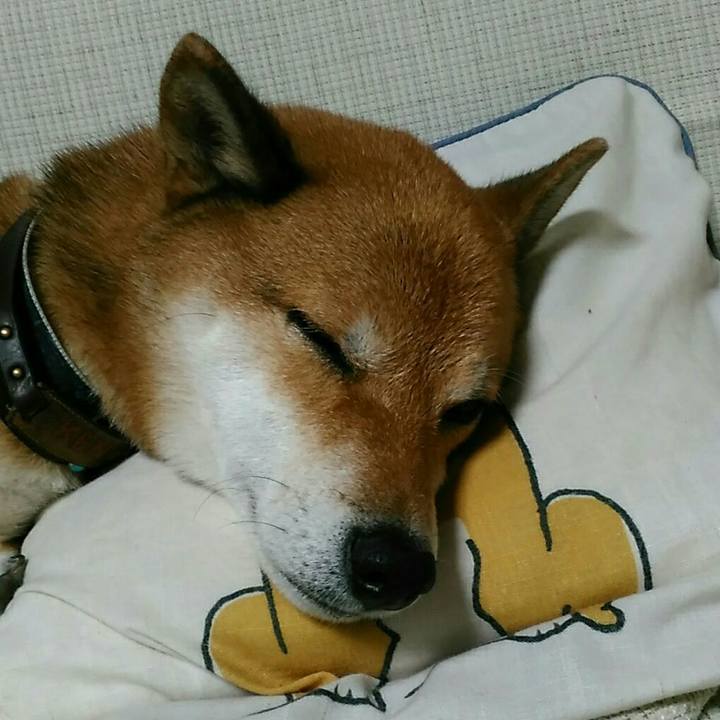 Cfdb6ca3 5758 437c 9759 370a14b27198 1569421353716