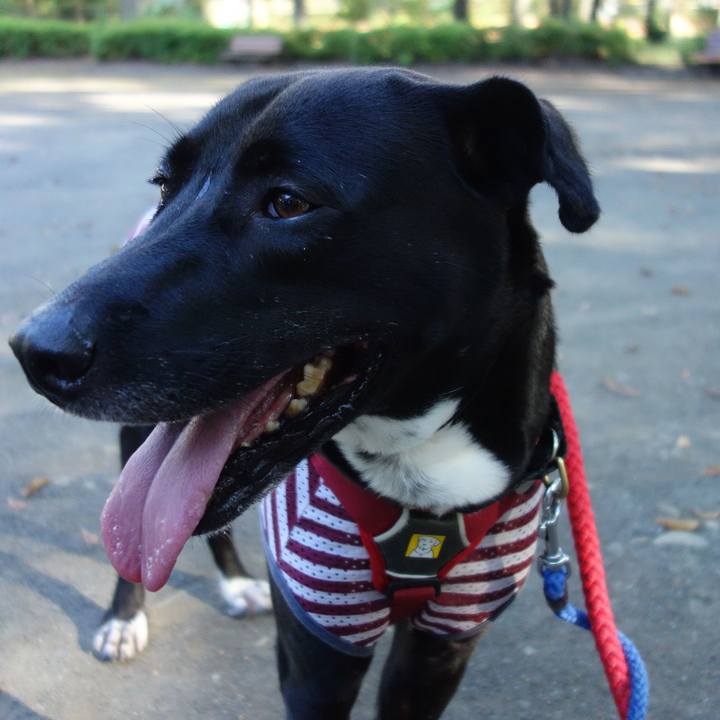 Cfdb8117 0c7e 4b4f a1ed 03fd0621cc25 1597361175502