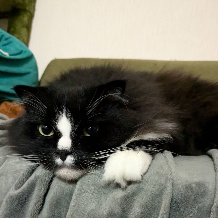 Cfdbbd2e 8e26 42e9 826f 5f285d2615bd 1722458717226