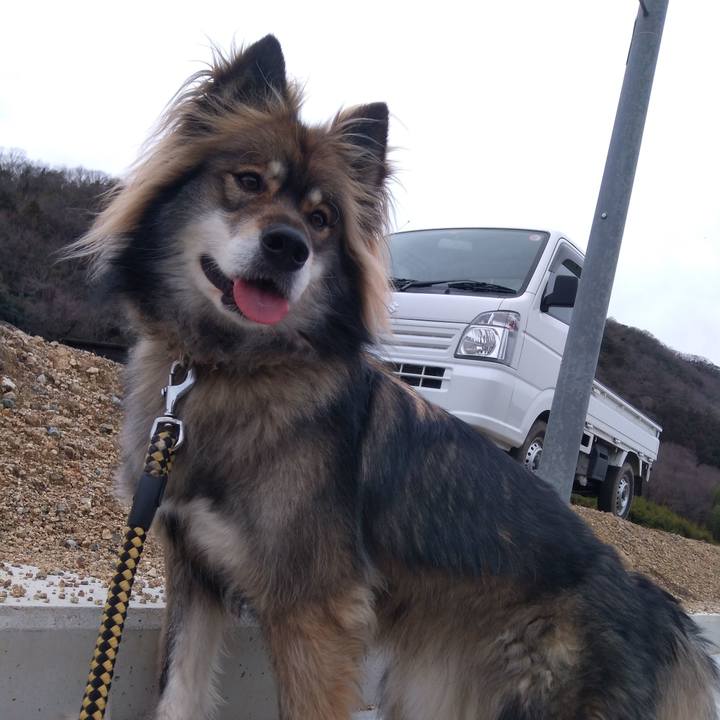 Cfdbe6ff 42f9 45b1 9d6f 35f5921dcdf6 1583685624430