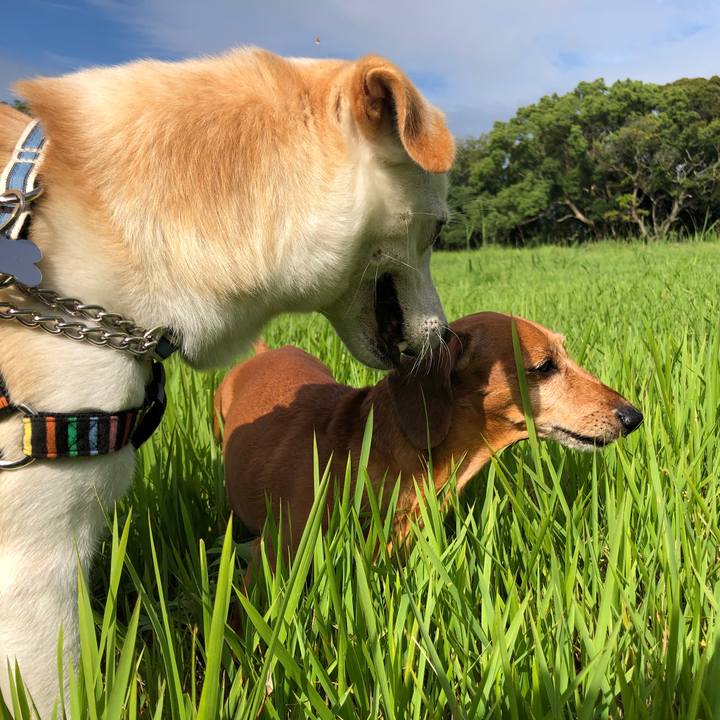 Cfdbedf4 691f 4da4 aade 72a90f0be328 1629249210109